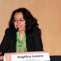 Dra. Angélica Lozano, Instituto de Ingeniería UNAM.