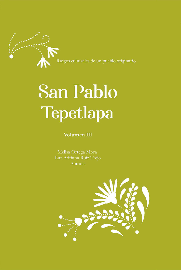 libro epub de San Pedro Tepetlapa (Vol. III) 